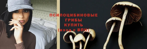 мет Белокуриха