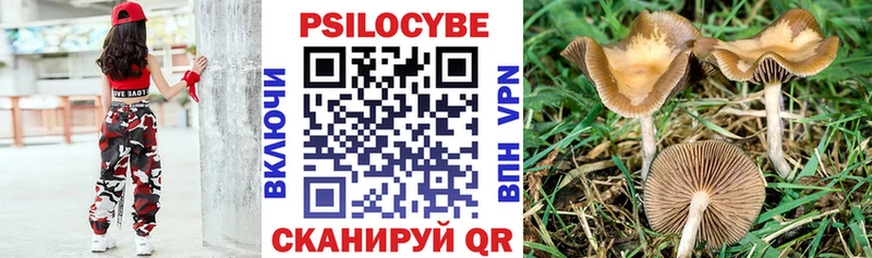 ссылка на мегу ССЫЛКА  Красный Сулин  Псилоцибиновые грибы Psilocybine cubensis 